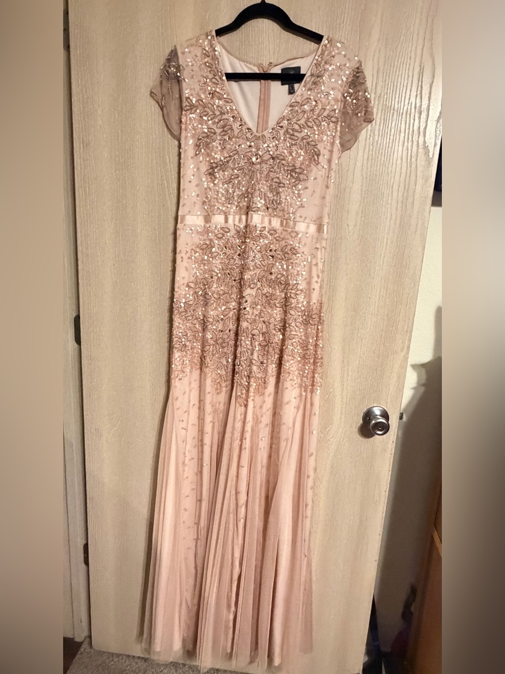 Adrianna Papell Blush Pink  Heavily  Beaded Maxi Gown